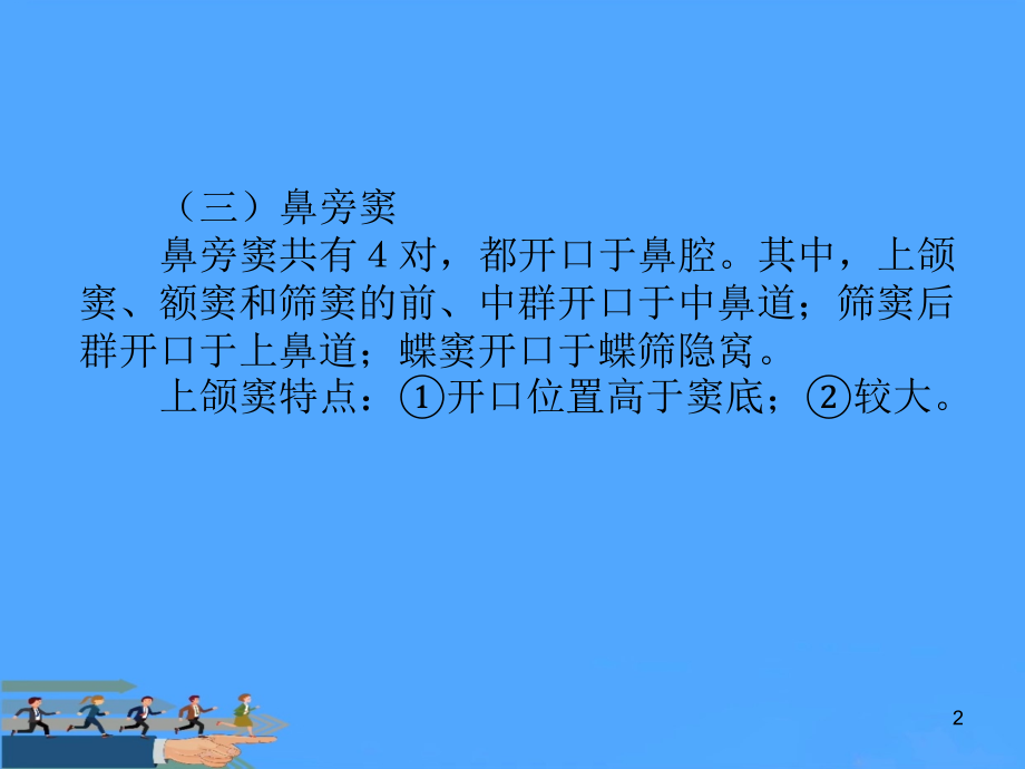 解剖学呼吸系统.ppt_第2页