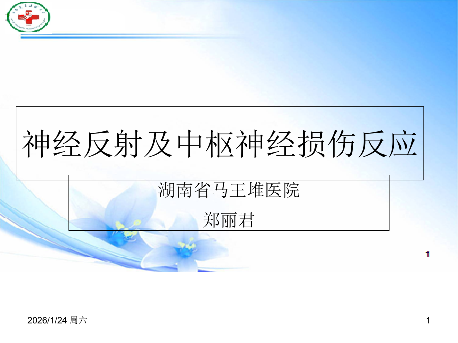 神经反射及中枢神经损伤反应功能重塑.ppt_第1页