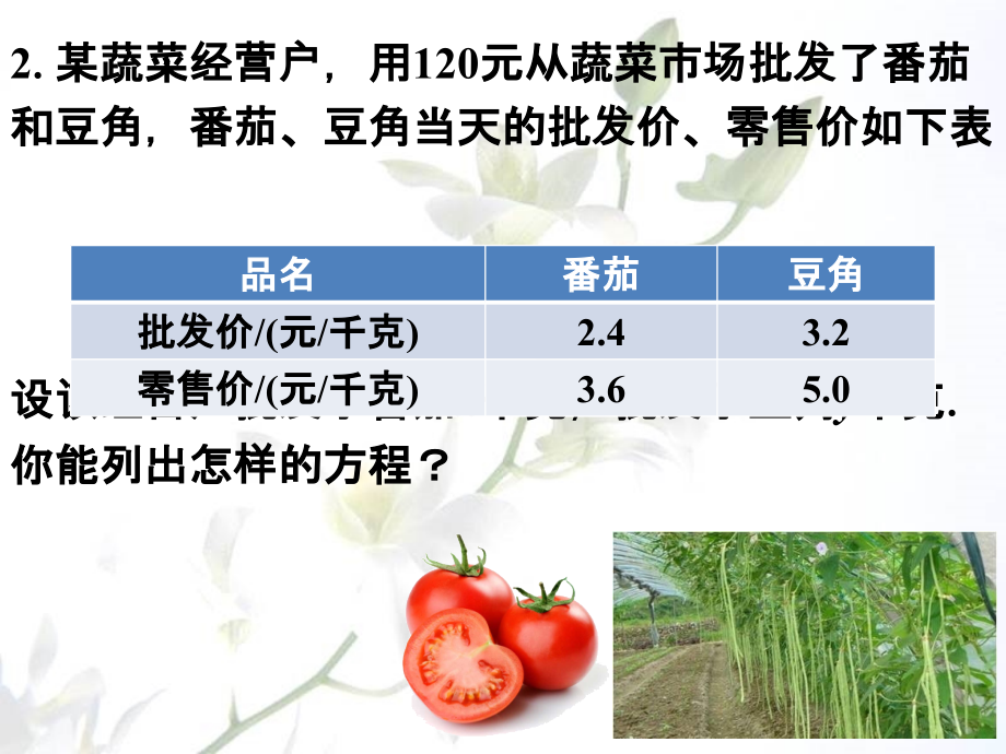 课外练习2-二元一次方程和它的解.ppt_第2页