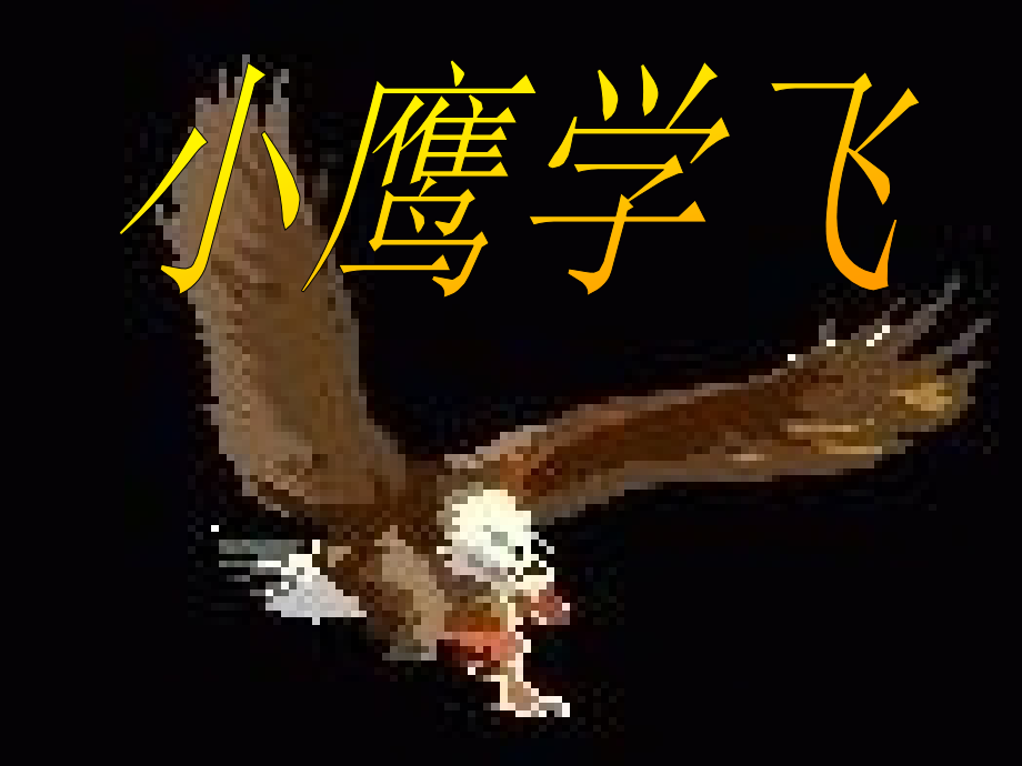 小鹰学飞上课.ppt_第1页