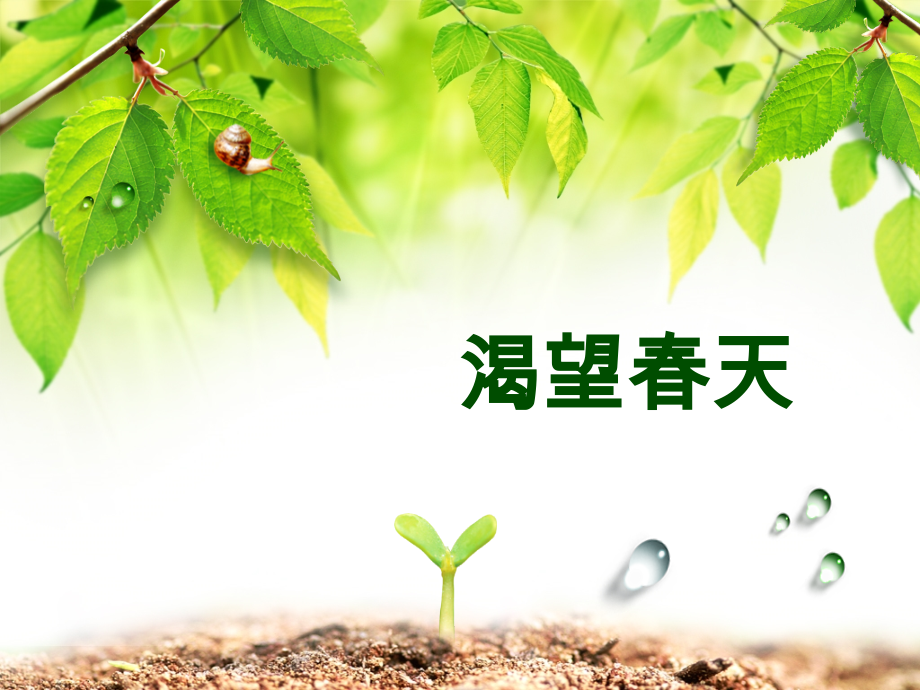 渴望春天.ppt_第2页