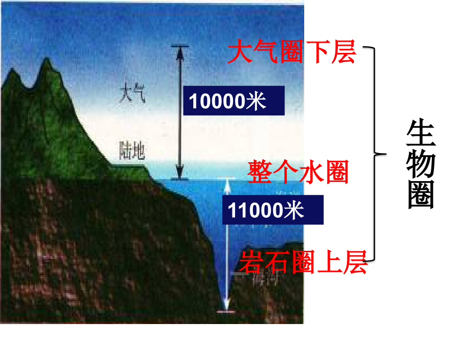 第节形形色色的生物.ppt_第2页