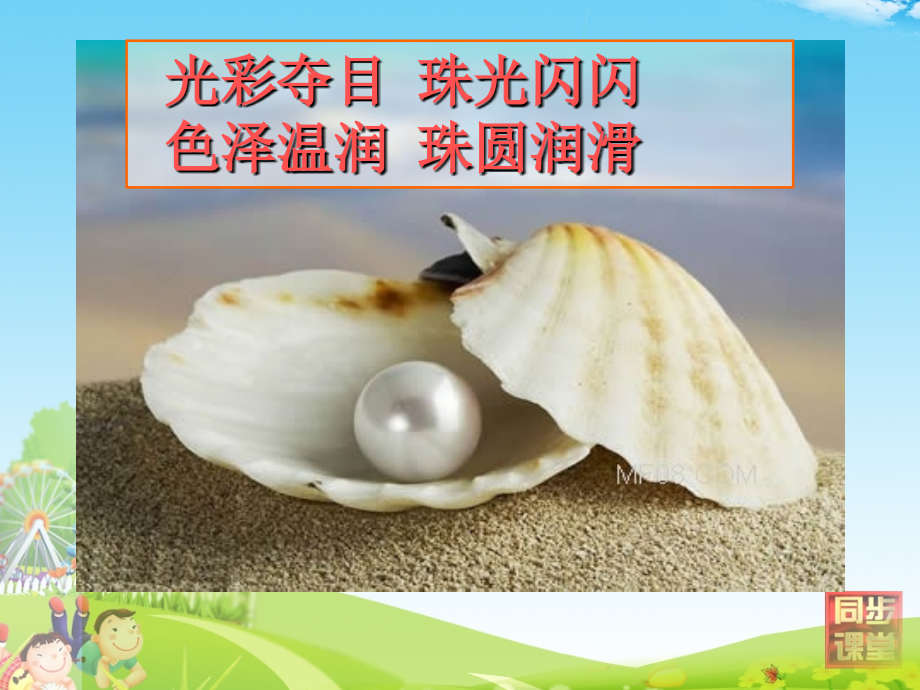 圆圆的沙粒第一课时课件.ppt_第2页
