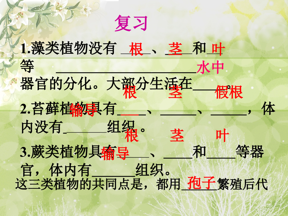 生物学与文学-寄予植物的情怀.ppt_第1页