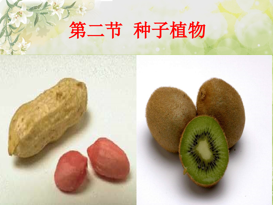 生物学与文学-寄予植物的情怀.ppt_第2页