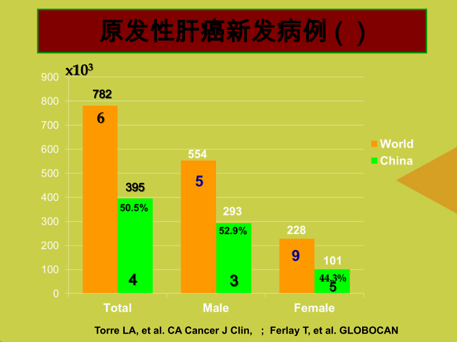 肝癌内科规范化治疗合肥.ppt_第2页