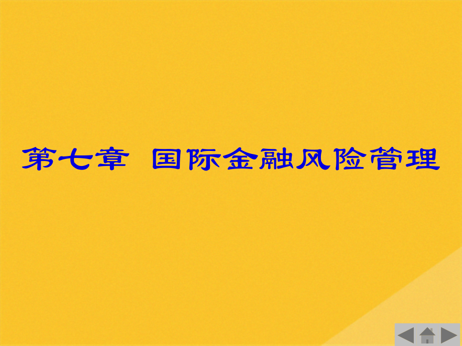2022年国际金融风险管理论述.pptx_第1页