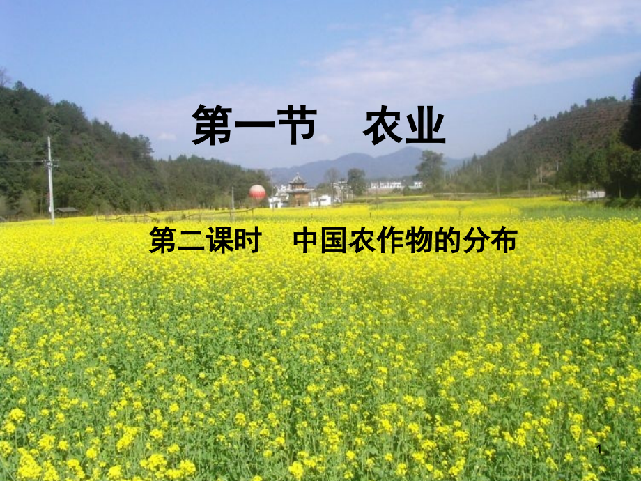 中国农作物的分布.ppt_第1页
