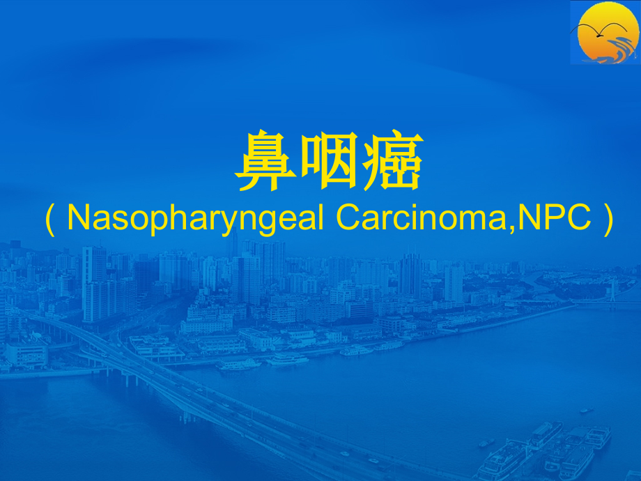 本科生鼻咽癌讲课.ppt_第1页