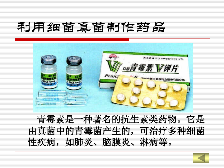 人对细菌和真菌的利用.ppt_第2页