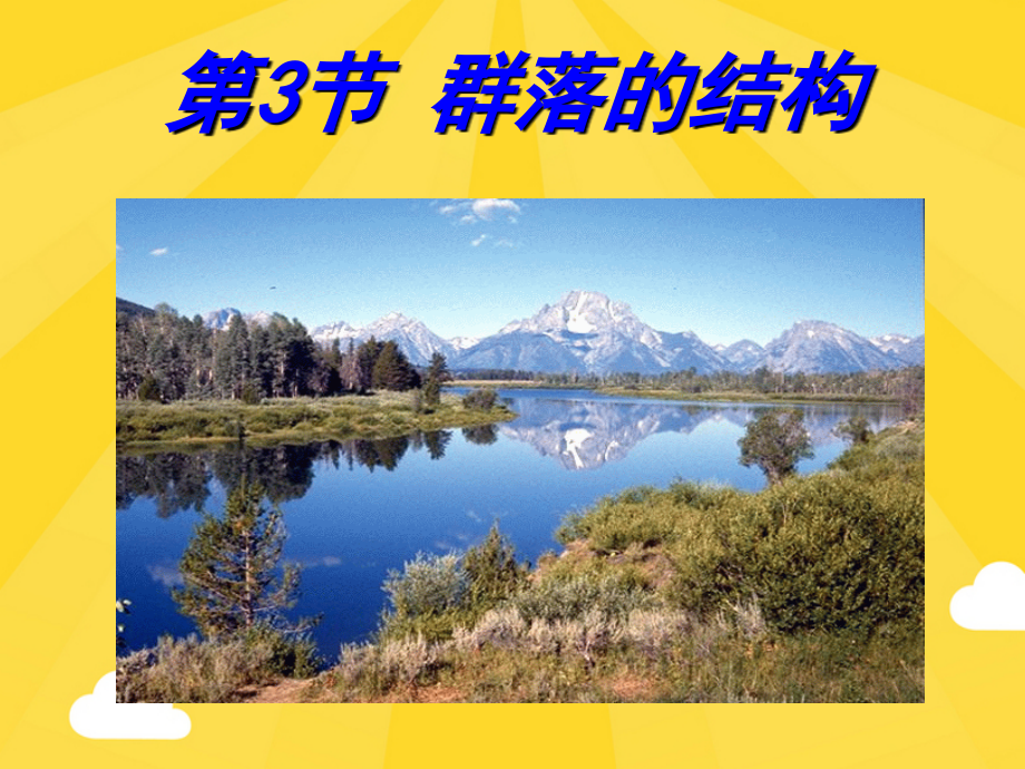群落的结构..pptx_第1页