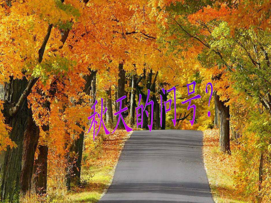 秋天的问号.ppt_第1页