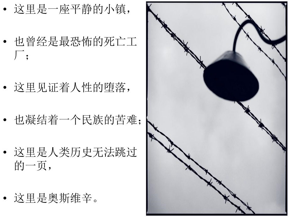 奥斯维辛没有新闻.ppt_第2页