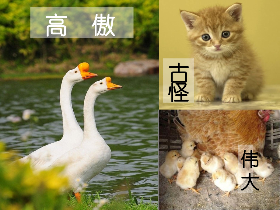 丁丁写字课件1.ppt_第2页