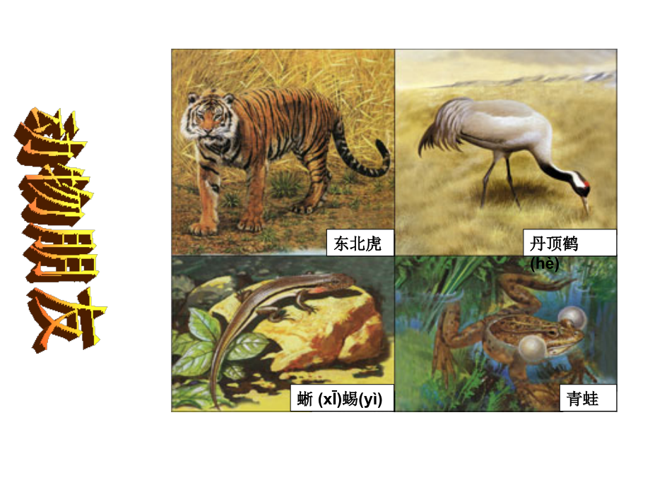 人教版三年级数学上册第二单元万以内数的加法和减法ppt.ppt_第2页