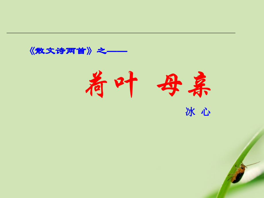 七年级语文上册-《荷叶-母亲》课件-人教新课标版.ppt_第1页