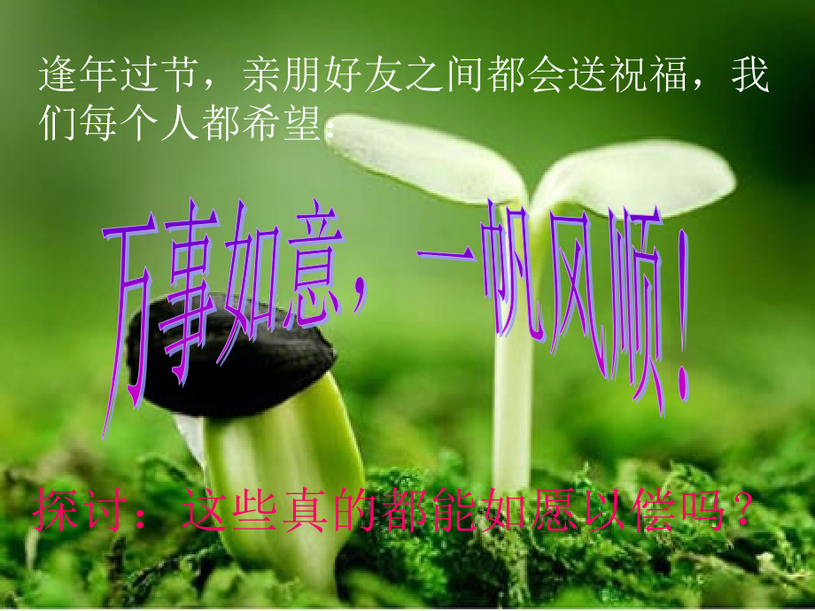 我们的情感世界.ppt_第2页