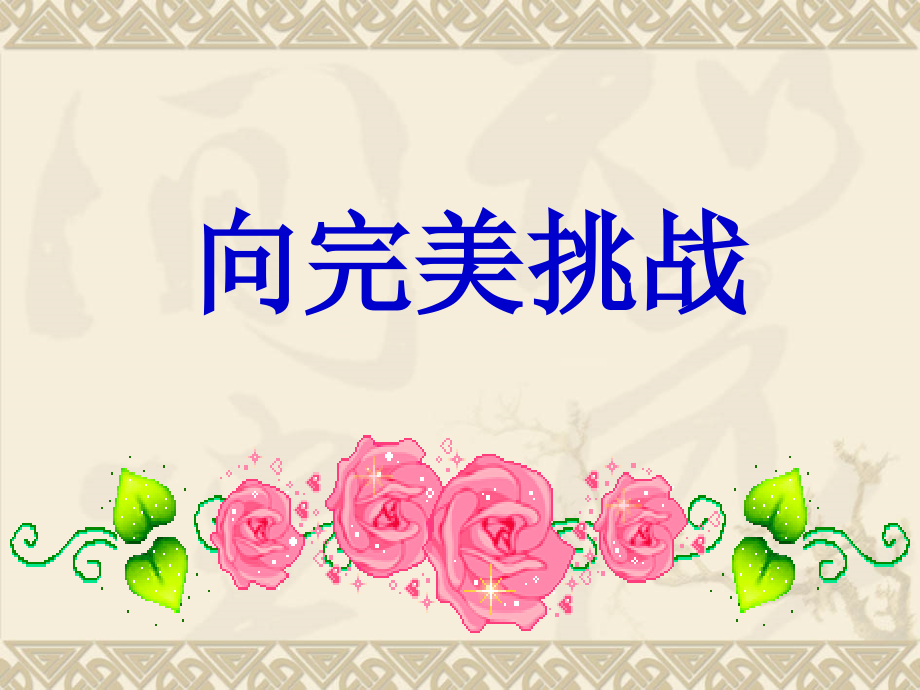 向完美挑战.ppt_第2页