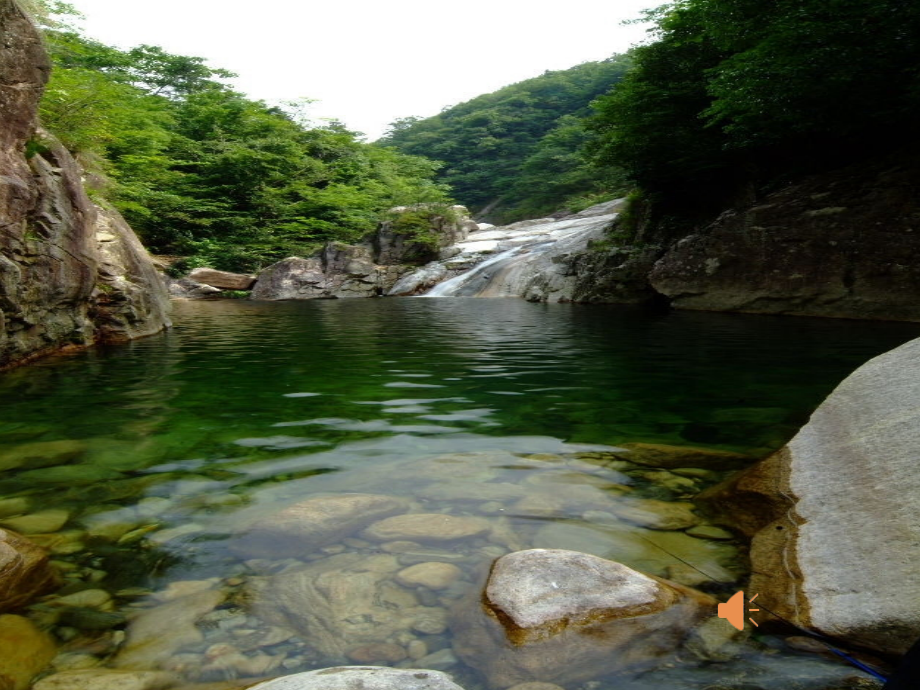 空山鸟语.ppt_第1页