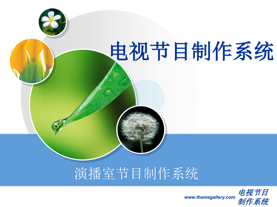 电视节目制作系统(4).ppt_第1页