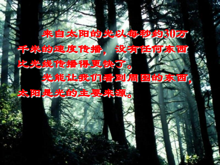 小学科学ppt课件-阳光下的影子(2).ppt_第2页