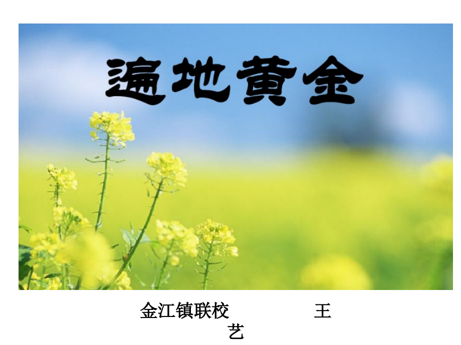 遍地黄金.ppt_第1页