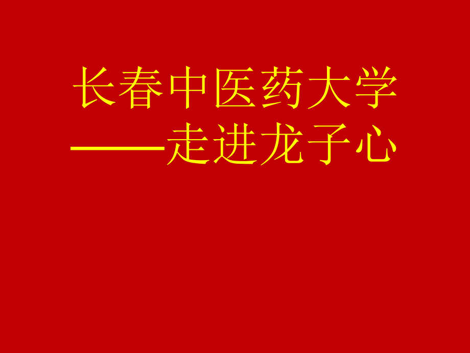 做一个梦想的实干家.ppt_第1页