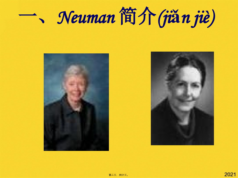 健康照顾系统模式NSM.pptx_第2页