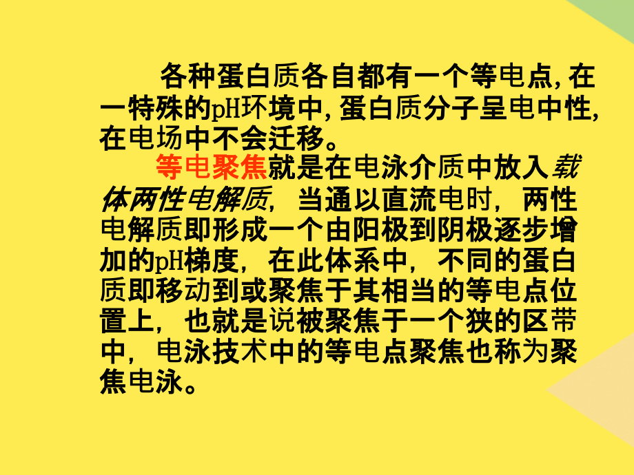 等电聚焦电泳2022文档.ppt_第2页