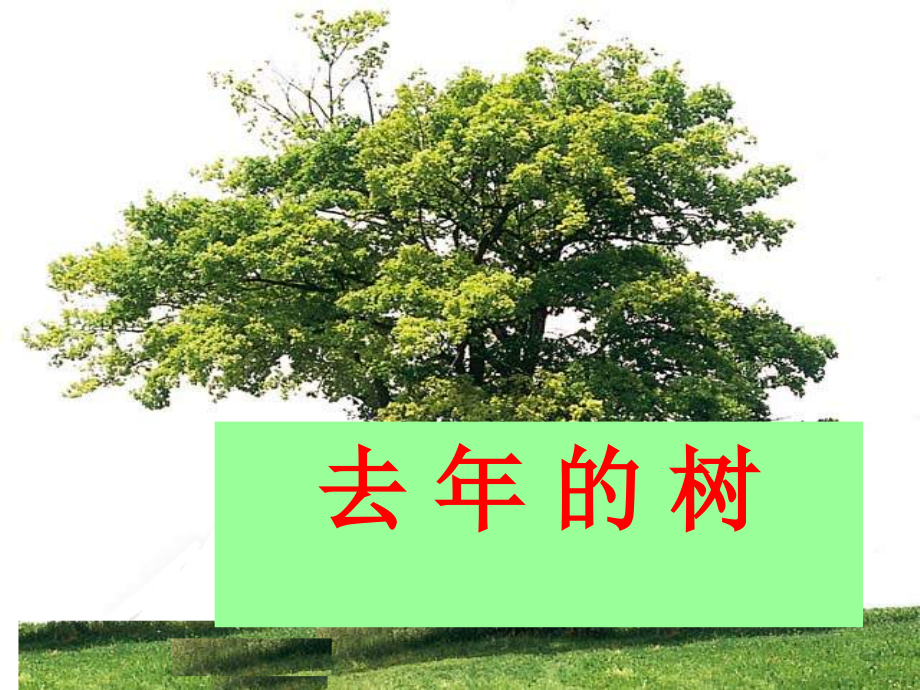 去年的树·公开课课件.ppt_第1页