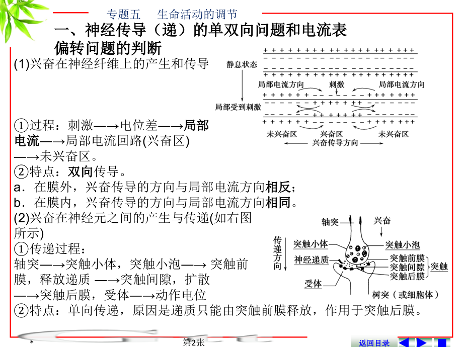 专题五----生命活动的调节.ppt_第2页
