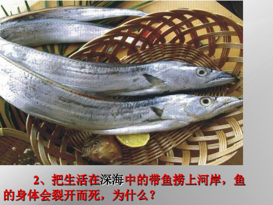 液体压强课件霍.ppt_第2页