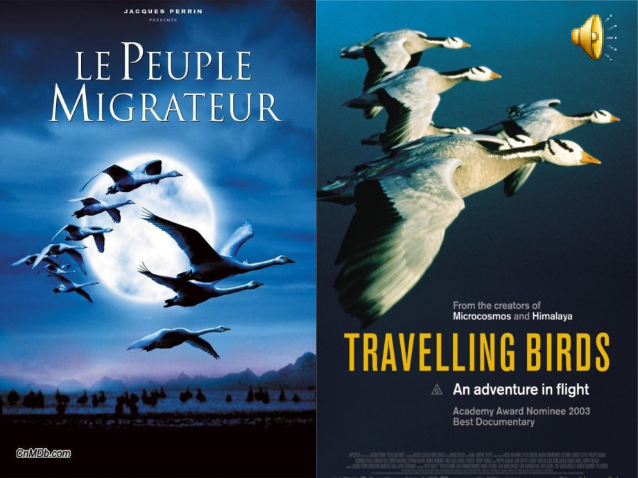 Reading：PopulationmovementintheUSA.ppt_第2页