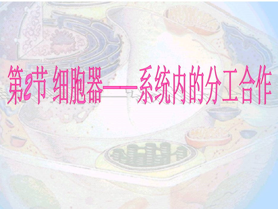 第三章-第二节-《细胞器──系统内的分工合作》.ppt_第1页
