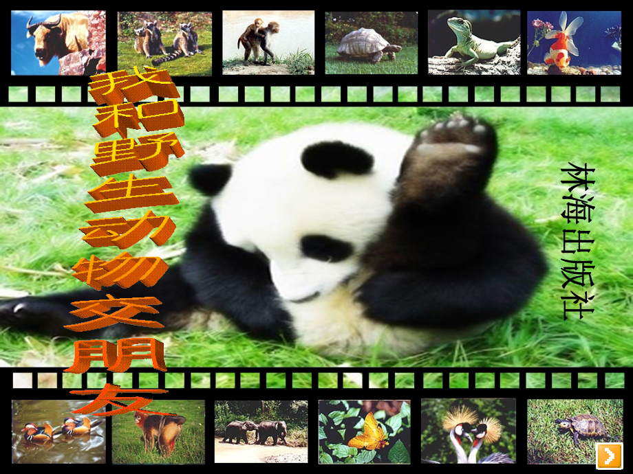 我和野生动物交朋友.ppt_第1页