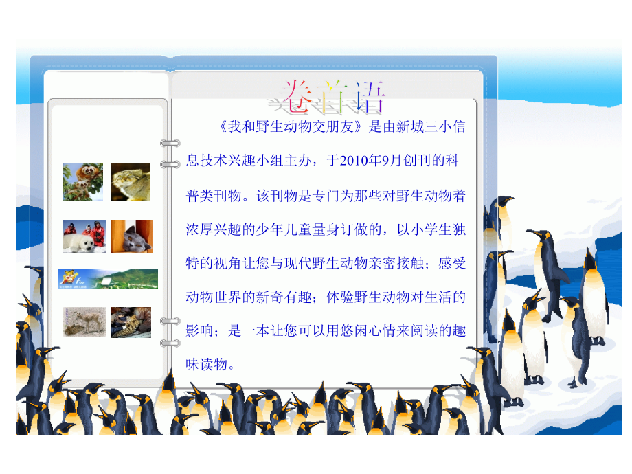 我和野生动物交朋友.ppt_第2页