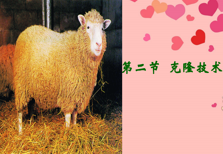 山东省高密市银鹰文昌中学八年级生物下册《7.2.2克隆技术》课件-济南版.ppt_第2页