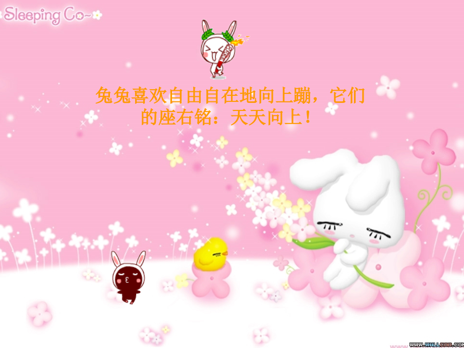 PPT成品示范.ppt_第2页