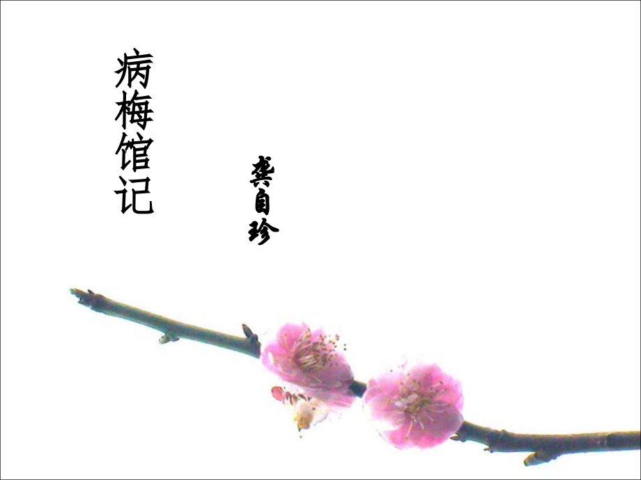十七病梅馆记.ppt_第1页