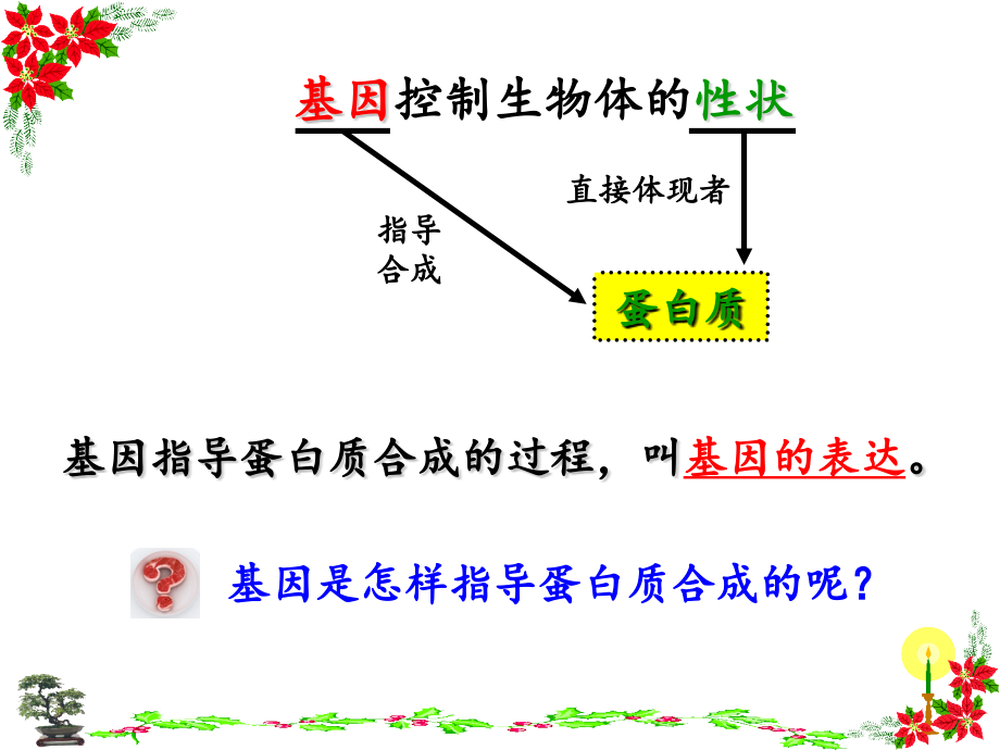 科学前沿-生物信息学-(4).pptx_第2页