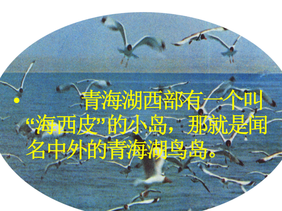 小学数学人教三年级两位数加两位数口算课件.ppt_第2页