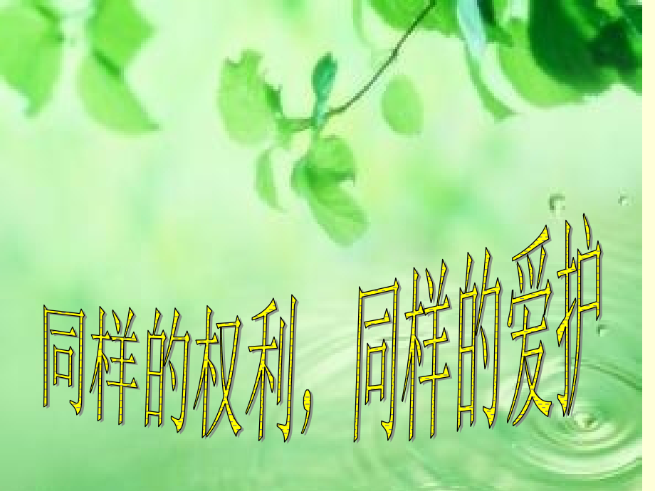 同样的权利-同样的爱护.ppt_第1页