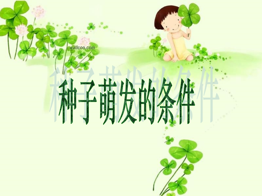 第一章第二节种子萌发的条件.ppt_第1页