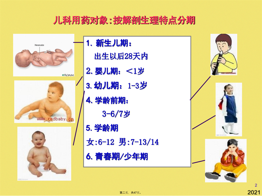 儿童用药分析.pptx_第2页