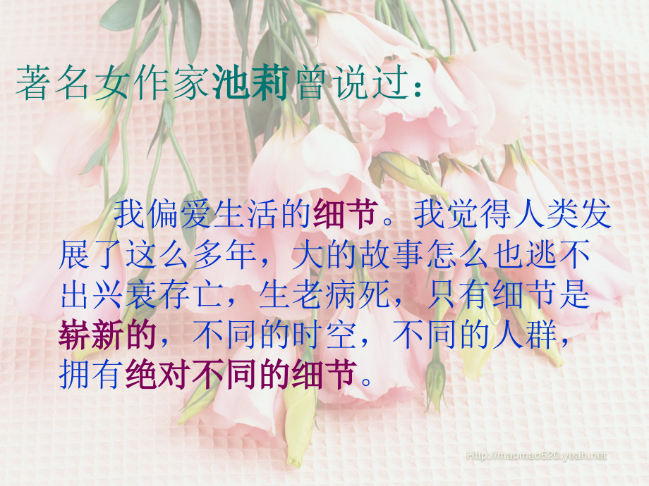 中考语文复习 细节描写课件.ppt_第1页