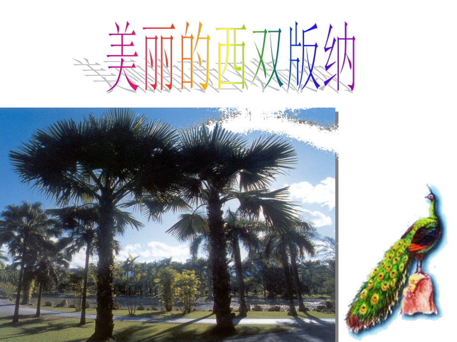 第九课美丽的西双版纳.ppt_第1页