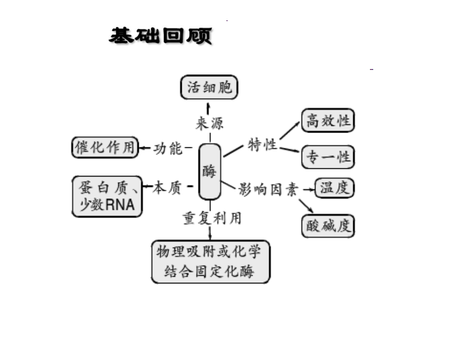 科学·技术·社会-酶为生活添姿彩.ppt_第1页