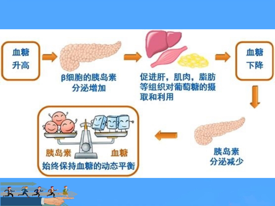 药物化学降血糖药.ppt_第2页