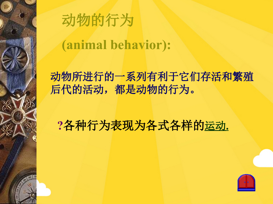 动物的运动(1).pptx_第2页
