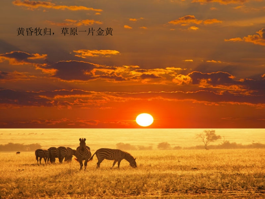 《蒙古小夜曲》课件.ppt_第2页
